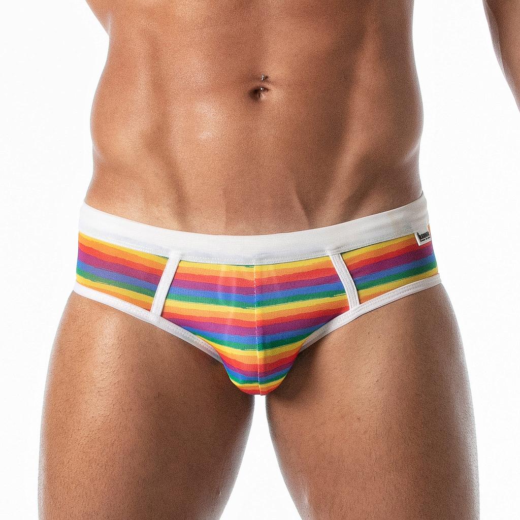 LEADER PRIDE MESH SWIM BRIEF WHITE