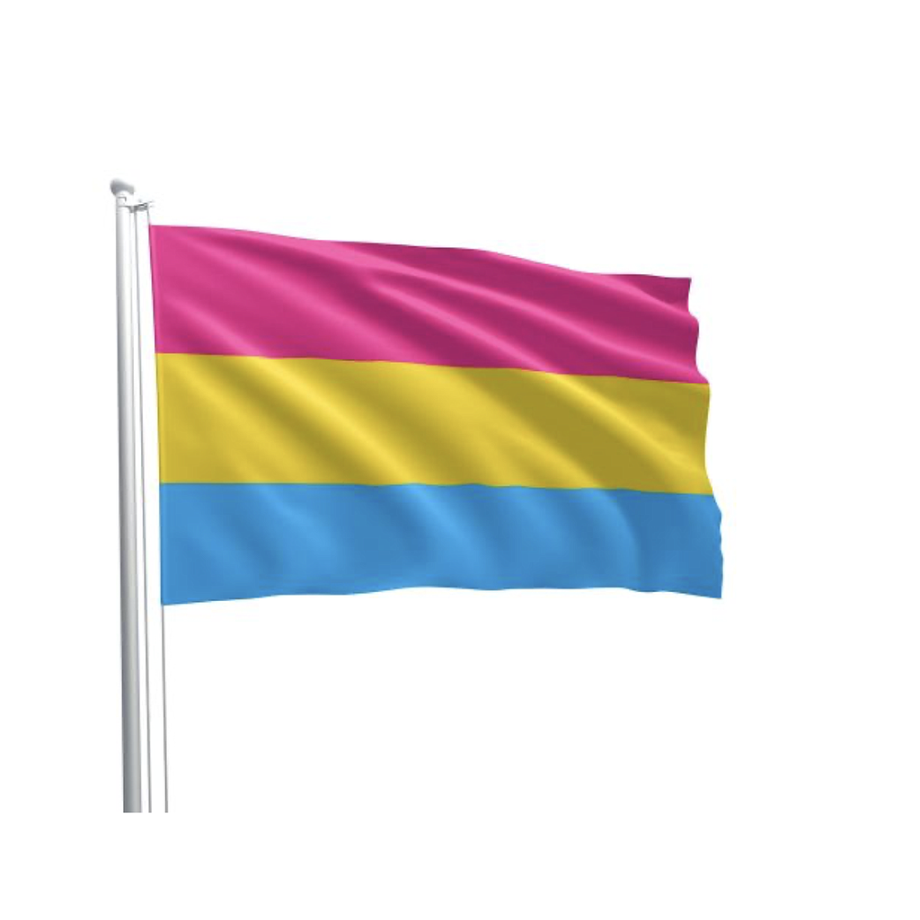PANSEXUAL FLAG