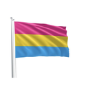 PANSEXUAL FLAG