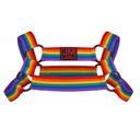 JOCKMAIL 914 PRIDE HARNESS WITH RINGS