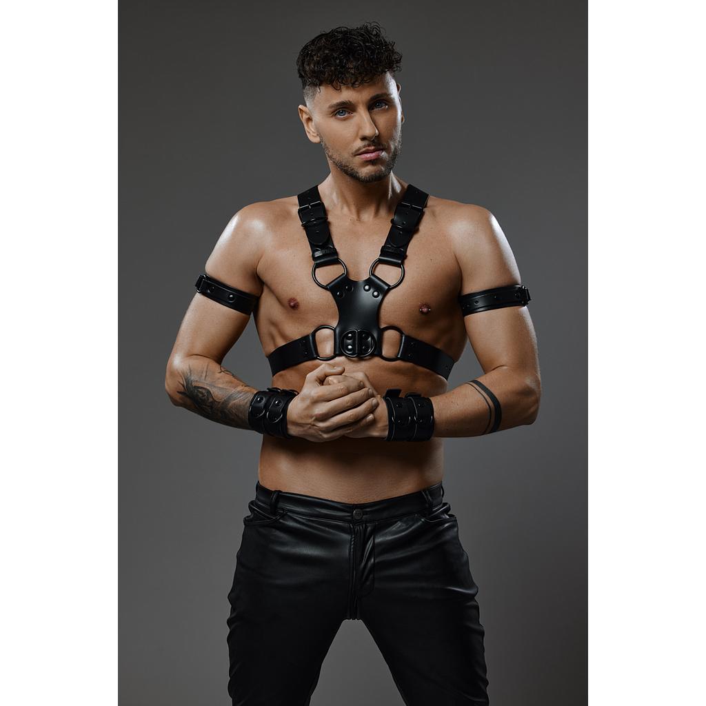 PROVOCATEUR LEATHER PUPPY HARNESS DAX