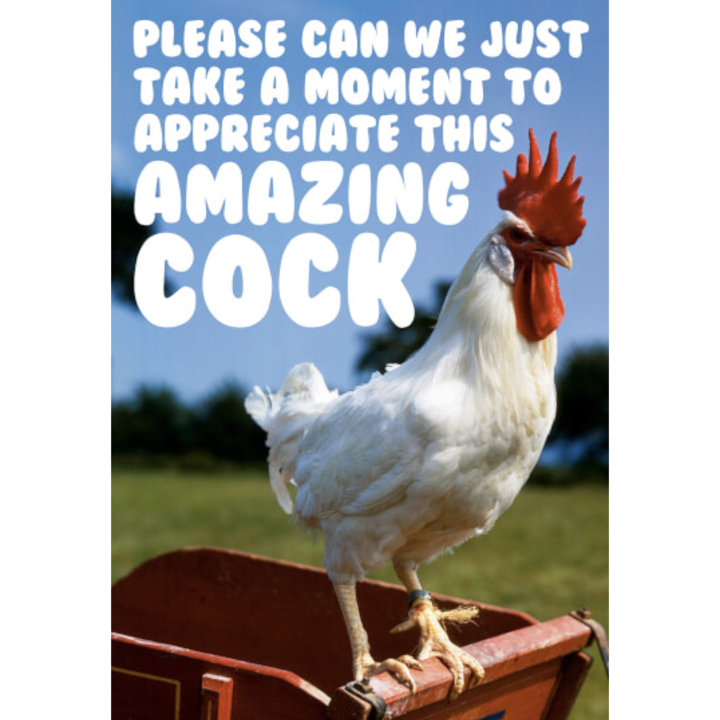 DM APPRECIATE THIS AMAZING COCK CARD