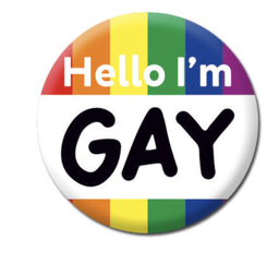 [2100000318070] DM HELLO I'M GAY BADGE