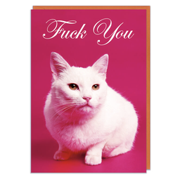 [2100000351602] DM FUCK YOU CAT CARD