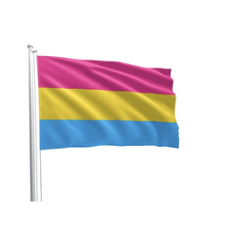 [2100000379002] PANSEXUAL FLAG