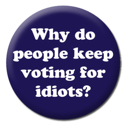 [2100000386789] DM VOTING FOR IDIOTS BADGE