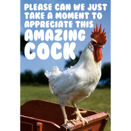 [2100000289417] DM APPRECIATE THIS AMAZING COCK CARD