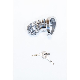 GAYT*GEAR FULL METAL CHASTITY CAGE